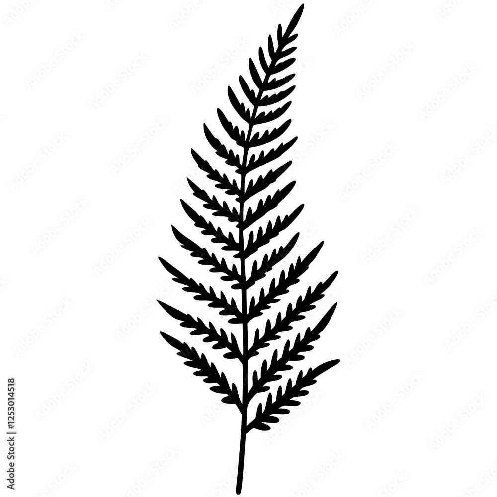 Naklejka premium Artistic Fern Leaf Outlines in Vector