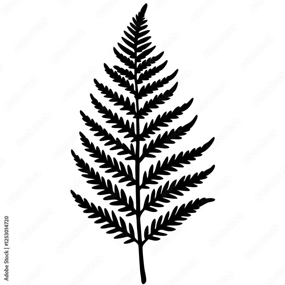 Artistic Fern Leaf Outlines in Vector Artistic Fern Leaf Outlines in Vector
