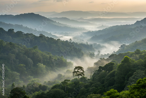 amazon rainforest, Misty Valley Overlooking Tropical Rainforest with Lush Vegetation and Elevation photo