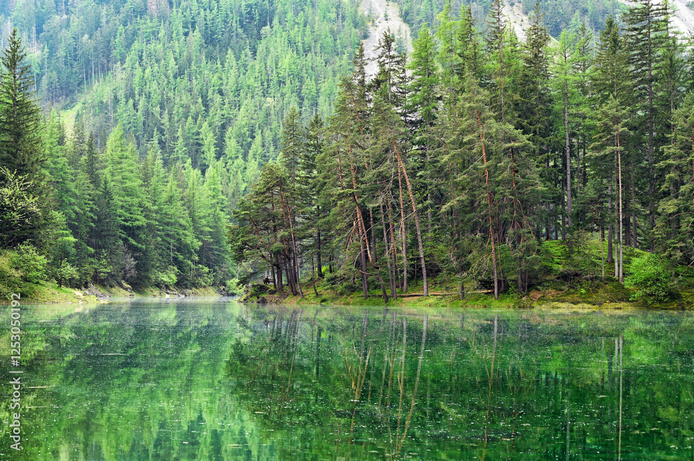 The Green Lake in Styria, Austria, spring season The Green Lake in Styria, Austria, spring season