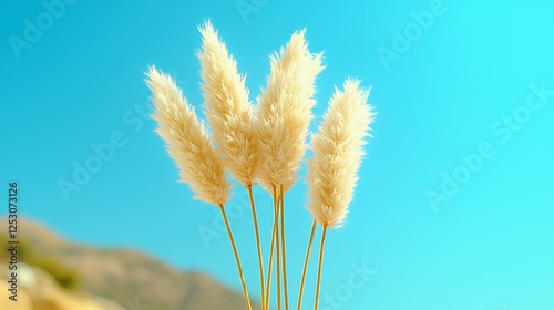 Fluffy White Pampas Grass Against Vivid Blue Sky