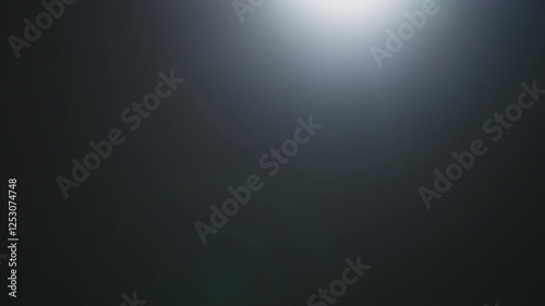 Wallpaper Mural Real optic lens flare over black background for overlay or background Torontodigital.ca
