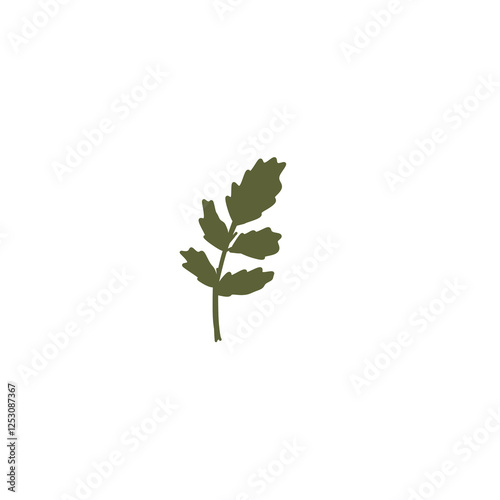 green leaf isolated on white background
