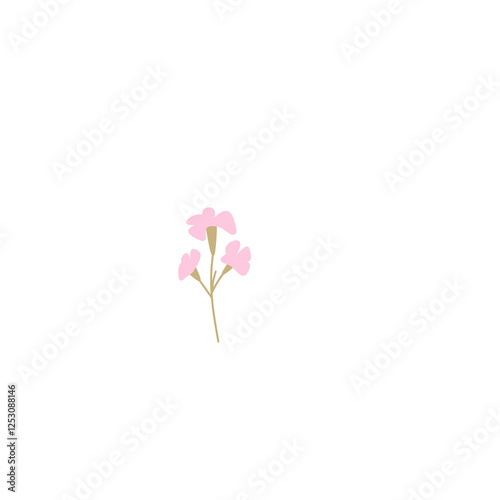 pink flower isolated on white