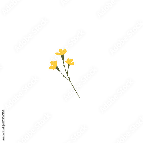 yellow flowers isolated on white background