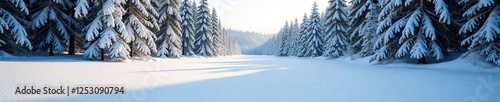 A smooth and untouched snowfield lies in the heart of a forest, winter wonderland, winter landscape, snow-clad woods