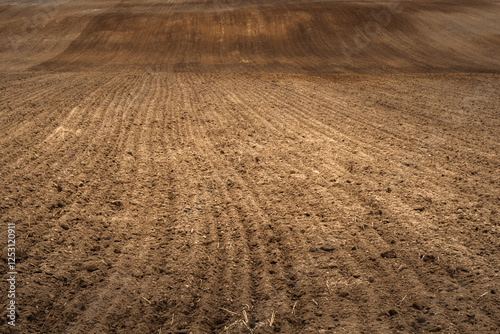 view of arable land with long rows of furrows. autumn or spring hilly cultivated agricultural field. Artistic template for presentation or creative background