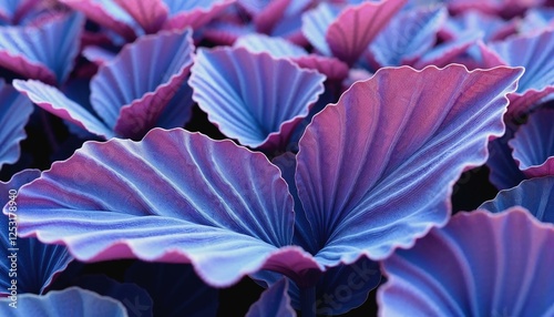 Surreal artistic composition of purple and blue leaves with delicate textures