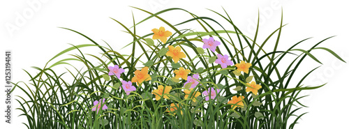 Field flowers, orchid grass and green bushes with pretty flowers