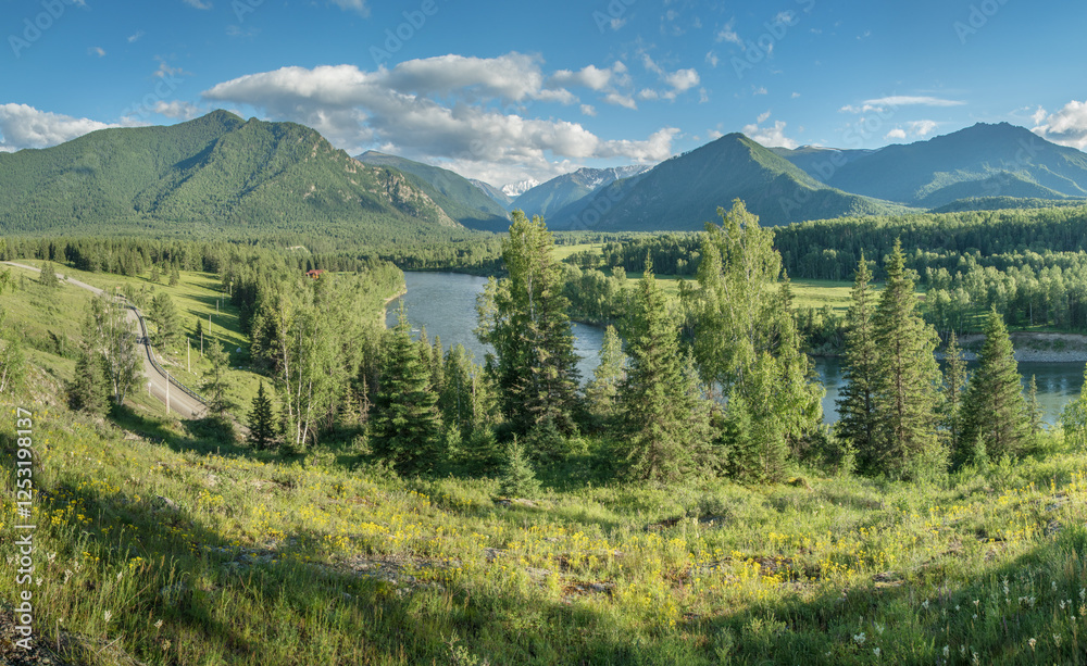 Obraz premium Picturesque mountain valley on a sunny summer day, wild river