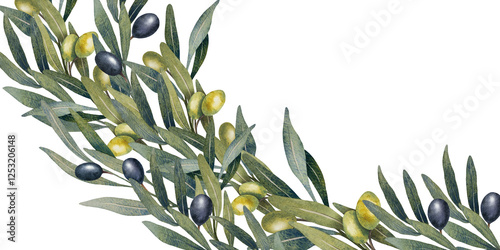 Wallpaper Mural Hand drawn watercolor illustration of olive branches with green and black olives. Botanical artwork with leaves and fruits. Natural colors for packaging, textiles, invitations, prints, backgrounds Torontodigital.ca
