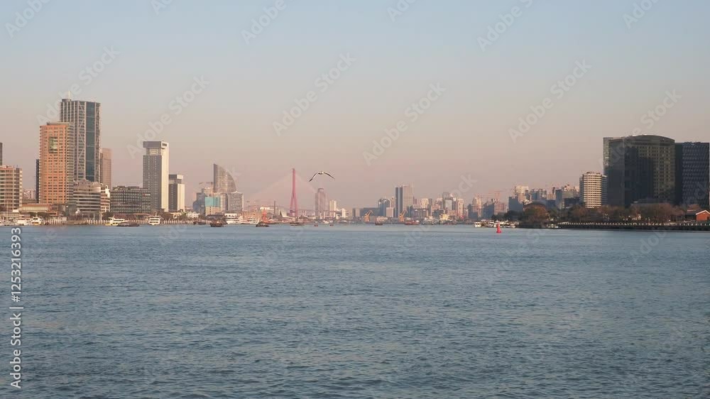 Beautiful Shanghai Cityscape with blue sky background in sunset golden time, seagull flying on Huangpu river, 4k real time footage, wide lens b roll video. Beautiful Shanghai Cityscape with blue sky background in sunset golden time, seagull flying on Huangpu river, 4k real time footage, wide lens b roll video.