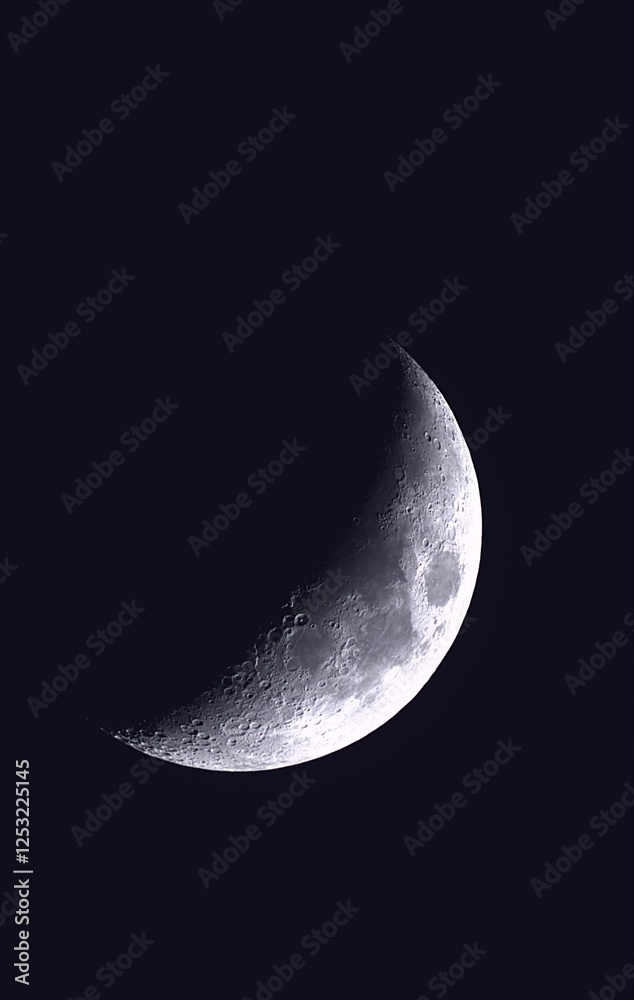 Fototapeta premium Vector realistic moon in the dark sky.