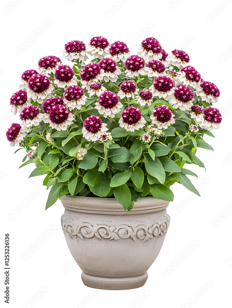 custom made wallpaper toronto digitalVibrant flower arrangement indoor garden floral display home decor aesthetic serenity
