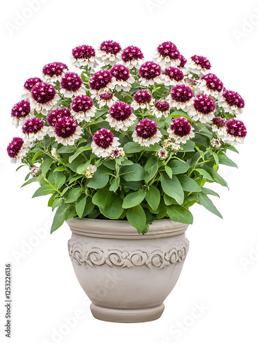 Wallpaper Mural Vibrant flower arrangement indoor garden floral display home decor aesthetic serenity Torontodigital.ca