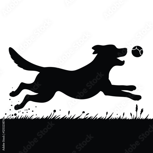 Dog Playing Fetch,