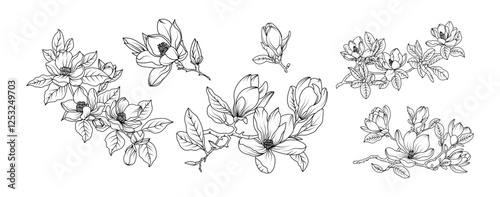 Magnolia flower arrangement line art on white background. Silhouette magnolia botanical hand drawn element for wedding, invitation frame design, vector illustration