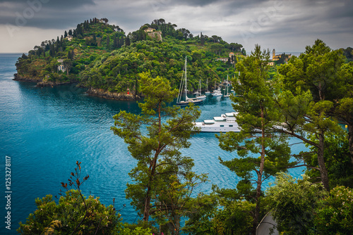 Anchored yachts in the bay of Portofino, Liguria, italy