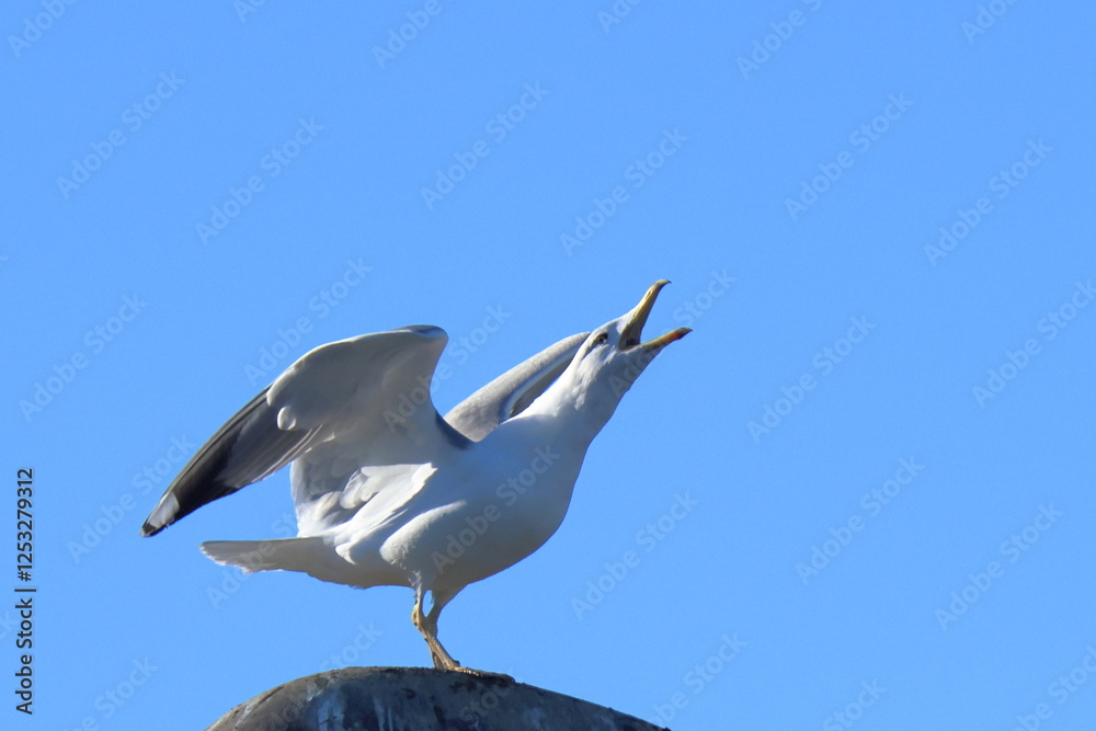 Obraz premium carattere deciso