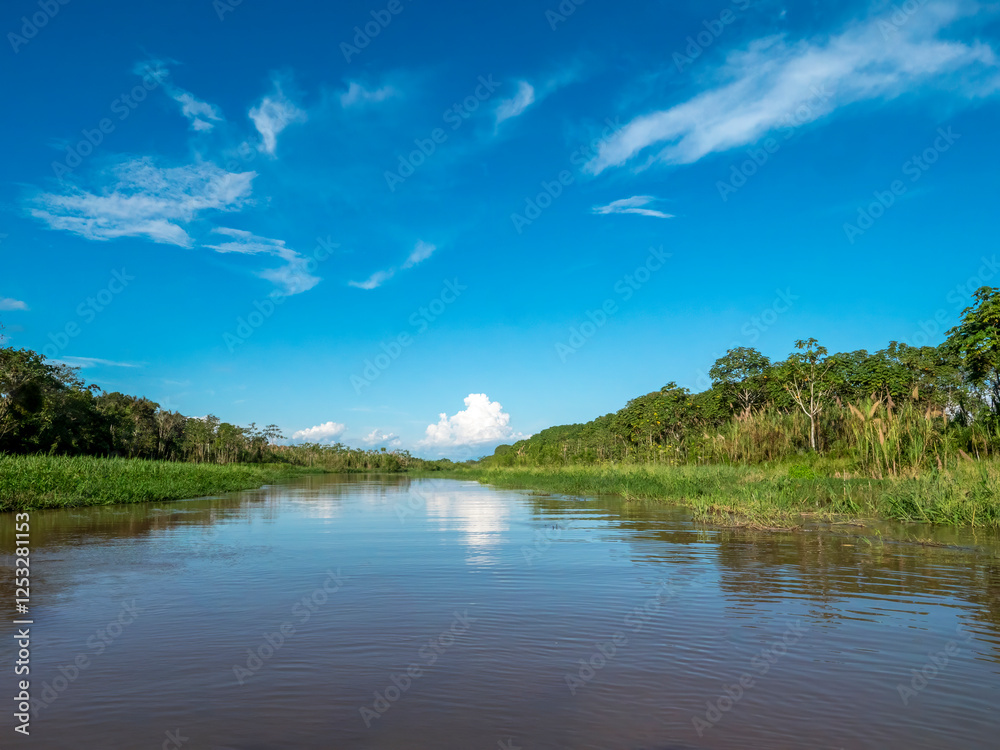 Amazon river landscape on a branch of the Amazon. Amazon river landscape on a branch of the Amazon.