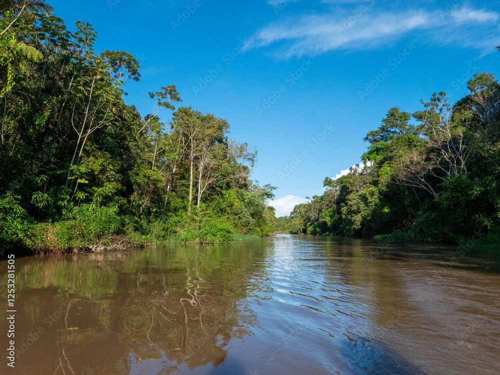 River landscape on a branch of the Amazon near the small town of Jutaí. River landscape on a branch of the Amazon near the small town of Jutaí.