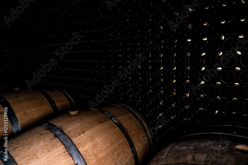Immersion dans les caves d'une maison de Champagne. L'âme du vieillissement dans les caves Champenoises avec des tonneaux en chêne.