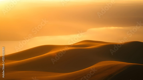 sand dunes in the desert