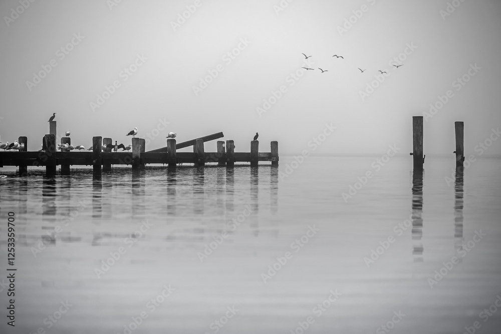 Naklejka premium eingeschrängte Sicht