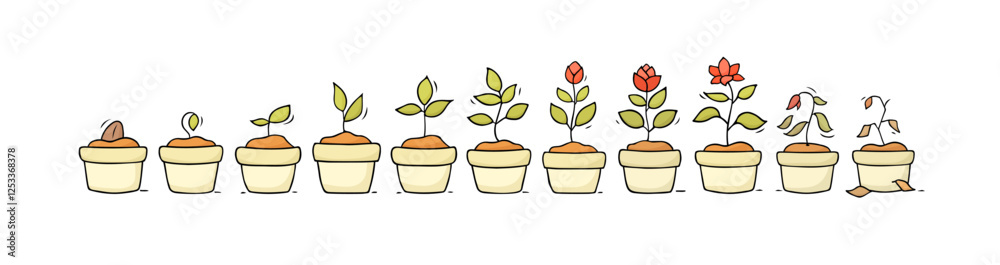 Obraz premium Plant growth from seed to sprout and flower. Doodle icons of process of houseplant growing in pot. Nature, garden, botany concept with stages of flower life, vector hand drawn illustration