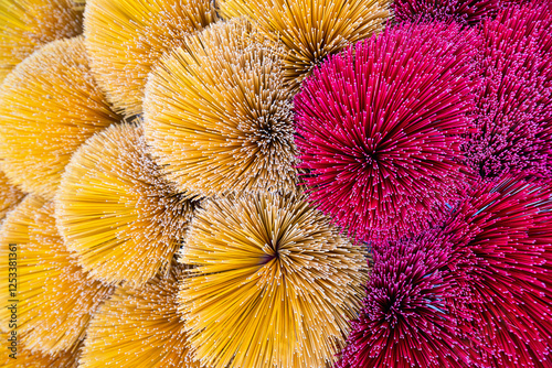 Close-up of drying incense sticks