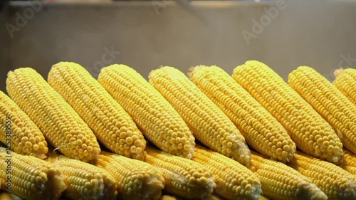 corn on the cob