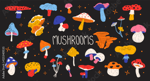 Set of different forest seasonal mushrooms toadstool, chanterelle, fly agaric, boletus . Colorful poisonous and edible mushrooms. Vector flat illustration in hand drawn style