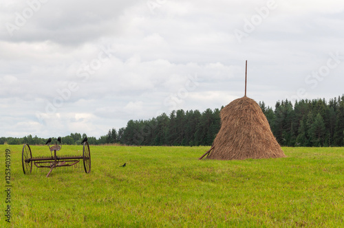 Green meadow with a haystack on forest edge, cloudy sky, summer evening. Vologda region, Russia