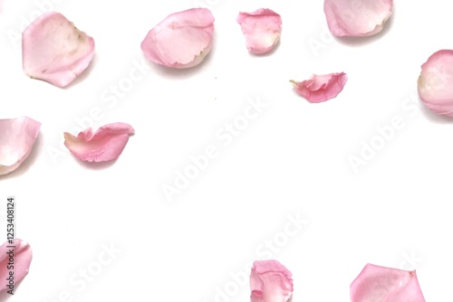 Blurred a group of sweet pink rose corollas on white isolated with copy space and softy style 