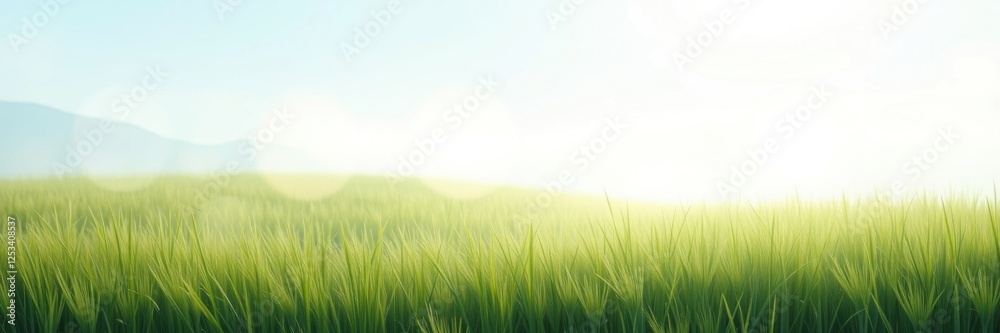 Serene Meadow Under a Blue Sky Serene Meadow Under a Blue Sky