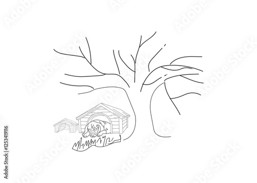 dog breeds, isolated on white