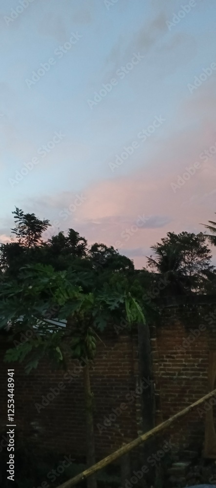 Sunset sky with trees and brick wall.A vertical view of a sunset sky with soft pink clouds, featuring trees and a rustic brick wall in the background..Vertical Photo. Sunset sky with trees and brick wall.A vertical view of a sunset sky with soft pink clouds, featuring trees and a rustic brick wall in the background..Vertical Photo.