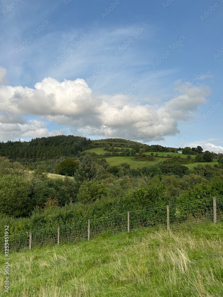 Obraz premium Fields
