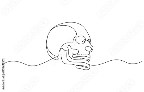 Continuous one line human anatomical skull vector illustration, Single continuous line drawing black and white illustration of skull human head bone.