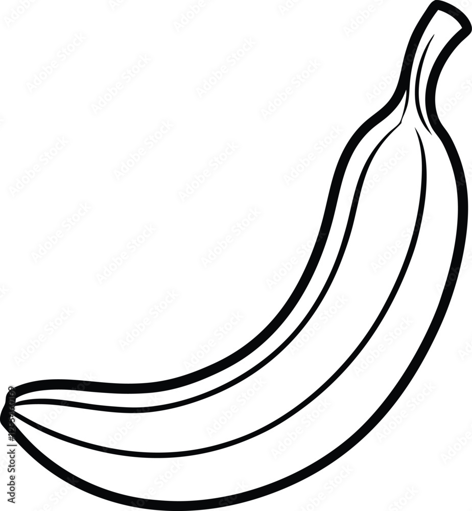 vector illustration of banana vector illustration of banana