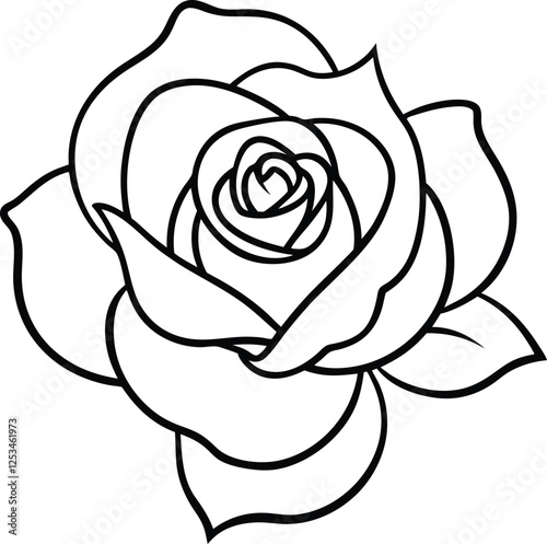 white rose on a black background