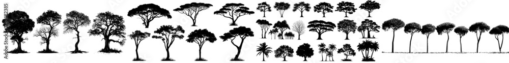 Fototapeta premium Black modern tree silhouette