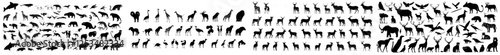 A collection of contemporary animal silhouettes set against a white backdropA series of modern animal outlines on a white backgroundContemporary animal shapes depicted in silhouette on a clean white