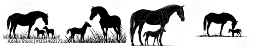 Horse and foal farm mammal black silhouette animal. Modern Illustrator