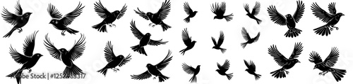Modern black bird silhouettes on a clean white backdrop, forming an icon set