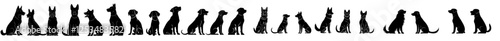 A collection of large, modern dog silhouettes against an isolated white backgroundA pack of contemporary dog silhouette designs, set on a pristine white backdropModern dog silhouettes, a large group