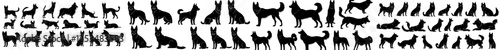A collection of black silhouettes of dogs isolated against a white background, presented in a modern illustration style