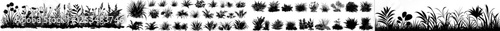A set of bush, grass, shrub, and herb silhouettes on a modern transparent background, EPS 10 format