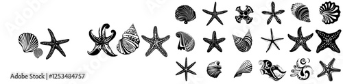 A modern illustration depicting a variety of black sea shells and starfish