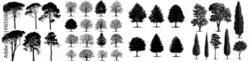 Nine black silhouettes of trees on a white background
